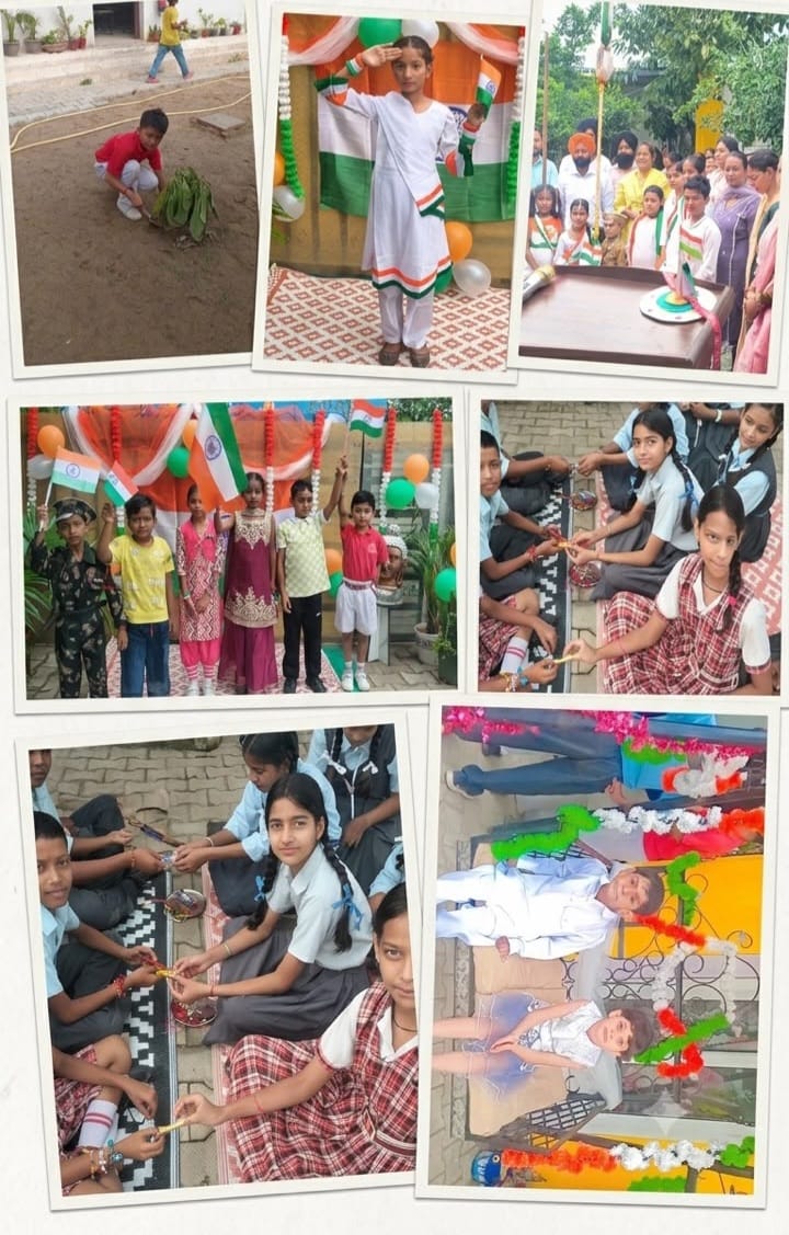 School activity collage